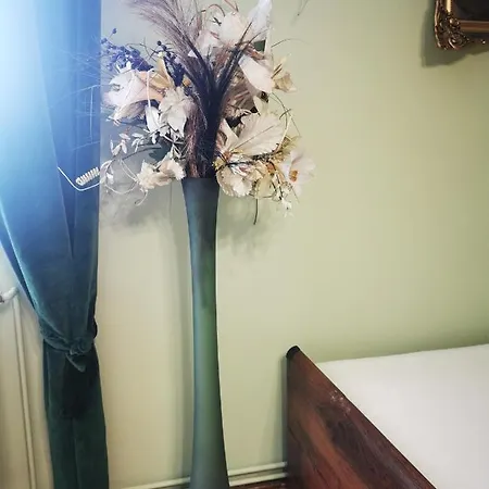 Mario Bezplatny Parking 아파트