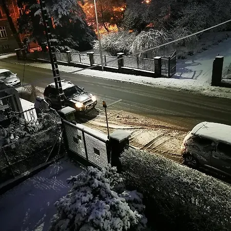 Mario Bezplatny Parking